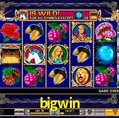 A Experiência Imersiva dos Cassinos Ao Vivo no bigwin